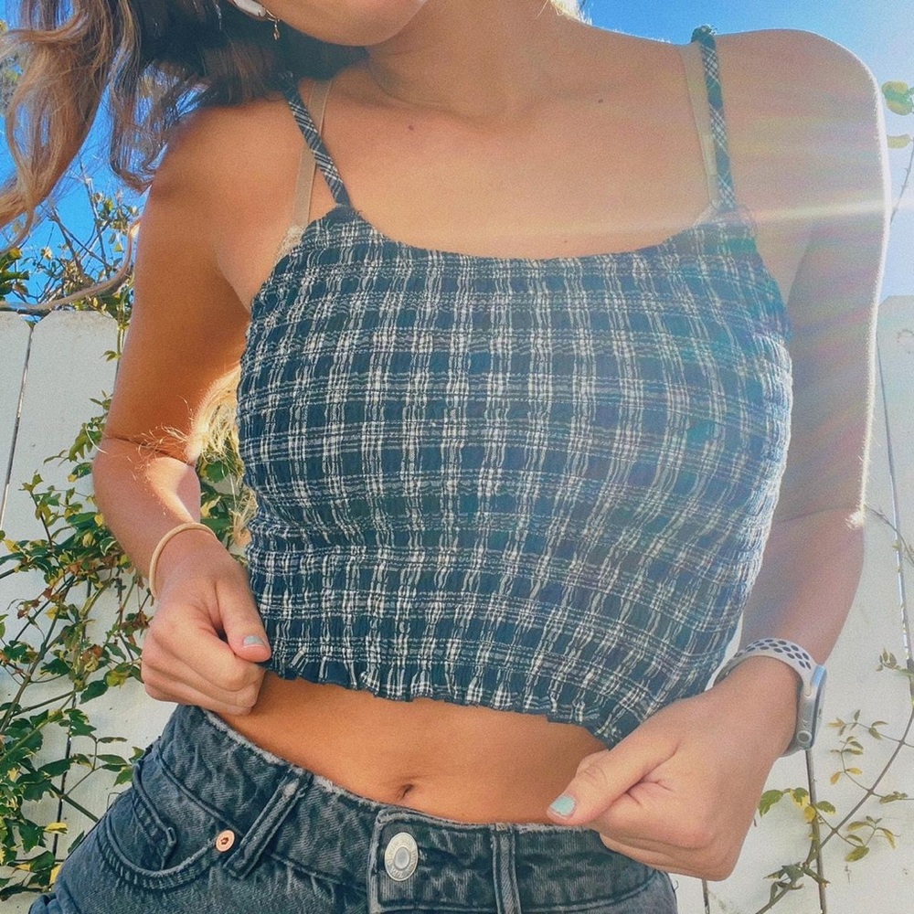 Brandy Melville Picnic Crop Top